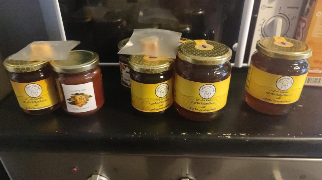 B&B I Pellegrini Della Casela Bordogna Eksteriør billede